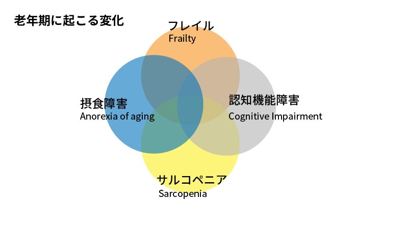老年期に起こる変化の図
